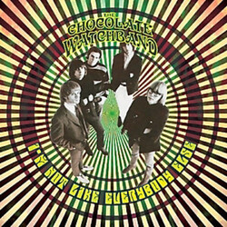Chocolate Watchband I'm Not Like Everybody Else Vinyl LP
