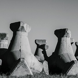 Cosmin Trg Uzura / Vitriol Vinyl 12"