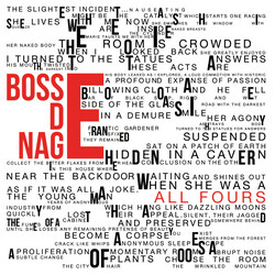 Bosse-De-Nage All Fours VINYL 2 LP