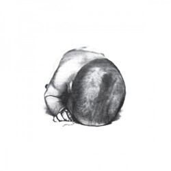 Liquid Idiot / Idiot Orchestra Liquid Idiot / Idiot Orchestra Vinyl LP