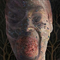 Festerday Four Stages Of Decomposition Vinyl 3 LP