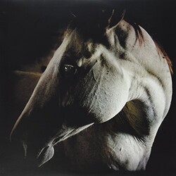 Brother Dege How To Kill A Horse Vinyl LP