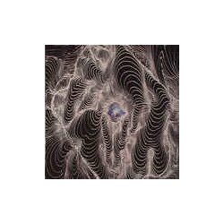 Dahga Bloom No Curtains Vinyl LP