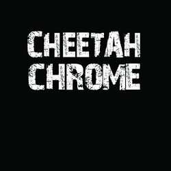 Cheetah Chrome Solo vinyl LP