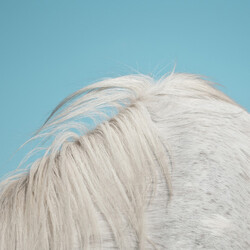 Widowspeak All Yours Vinyl LP