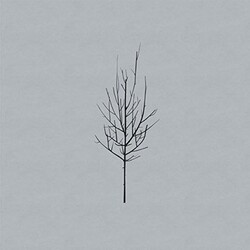 Low Ones & Sixes Vinyl 2 LP