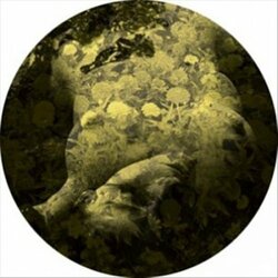 Salva Yellobone Vinyl 12"