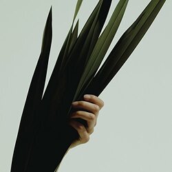 Wet Weak / Losing All We Knew 7"