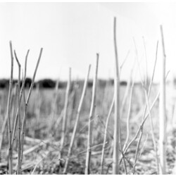 Recondite On Acid Vinyl 2 LP