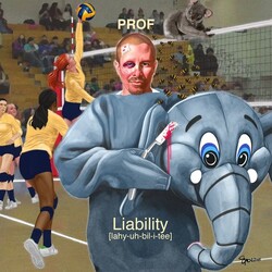 Prof Liability Vinyl 2 LP
