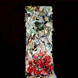 Foxtrott Taller Us Vinyl LP