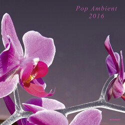 Various Artist Pop Ambient 2016 180gm Vinyl 2 LP