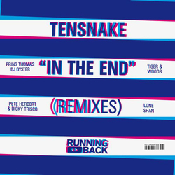 Tensnake In The End (Rmxs) vinyl 12
