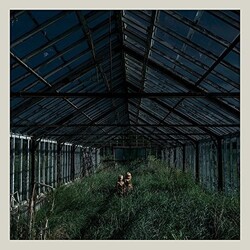 Foxing Dealer Coloured Vinyl LP