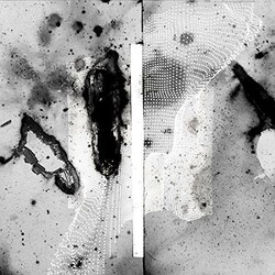 Certain Creatures Vipassana Vinyl 2 LP