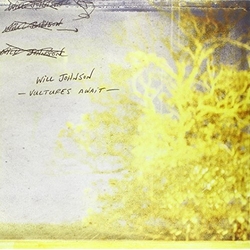 Will Johnson Vultures Await Vinyl 2 LP