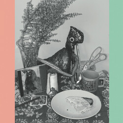 Vincent Over The Sink 22 Coloured Bull-Terriers Vinyl 2 LP