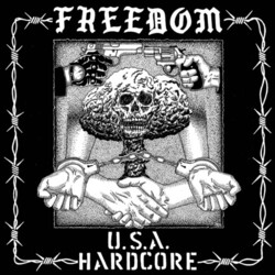 Freedom Usa Hardcore Vinyl LP
