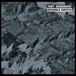 Joey Anderson Invisible Switch Vinyl LP