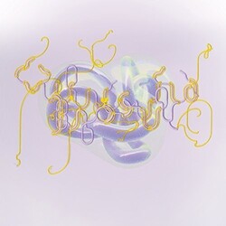 Bjork Black Lake: Bloom Mix Vinyl LP