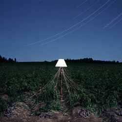 Beacon Escapements Vinyl LP