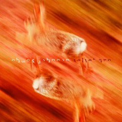 Chuck Johnson Velvet Arc Vinyl LP