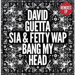 David Guetta Bang My Head Vinyl LP
