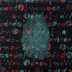 J Wow O Dedo/The Rattle/O Dedo (Bird Peterson Remix)/O D VINYL 12INCH