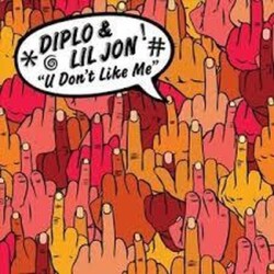 Diplo / Lil Jon U Don't Like Me Vinyl 12"