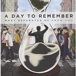 Day To Remember What Separates Me From You picture disc Vinyl LP