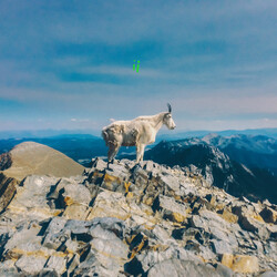 Liima Ii ltd Vinyl LP