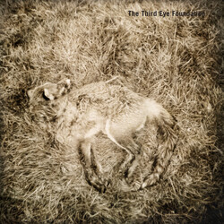 The Third Eye Foundation Semtex Vinyl 2 LP