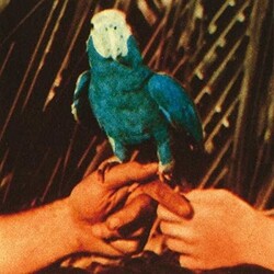 Andrew Bird Are You Serious VINYL LP