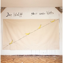 Joe Wulff Ghost Under Water VINYL LP
