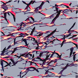 Deftones Gore VINYL 2 LP
