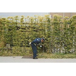 Gold Panda Good Luck & Do Your Best 180gm Vinyl LP