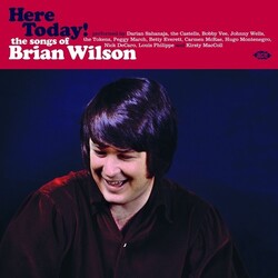 V/A Here Today! Songs Of Brian Wilson Vinyl LP