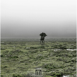 Markus Wormstorm Figure In Field Vinyl LP