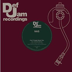 Nas / Foxy Brown Can't Forget About You/Touch Me Vinyl 12"