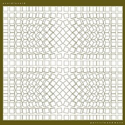 Avoid Avoid Particle & Wave  Vinyl LP