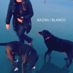 David Bazan Blanco Vinyl LP