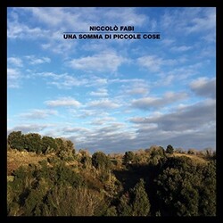 Niccolo Fabi Una Somma Di Piccole Cose Italian vinyl LP