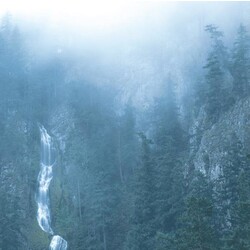 Wolves In The Throne Room Diadem Of 12 Stars