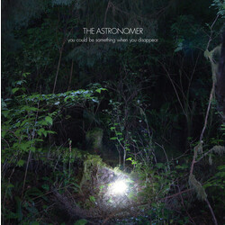 Astronomer YOU COULD BE SOMETHING WHEN YOU DISAPPEAR Vinyl LP