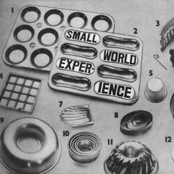Small World Experience Shelf-Life VINYL LP