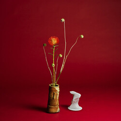 Seiho Collapse Vinyl LP
