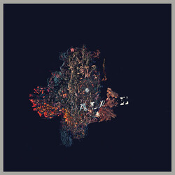 B/B/S/ Palace Vinyl 2 LP