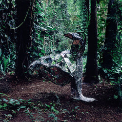 Css Donkey Vinyl LP