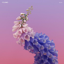 Flume Skin  VINYL 2 LP