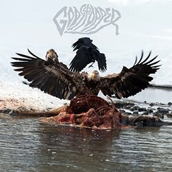 Godstopper Who Tries Anymore Vinyl LP
